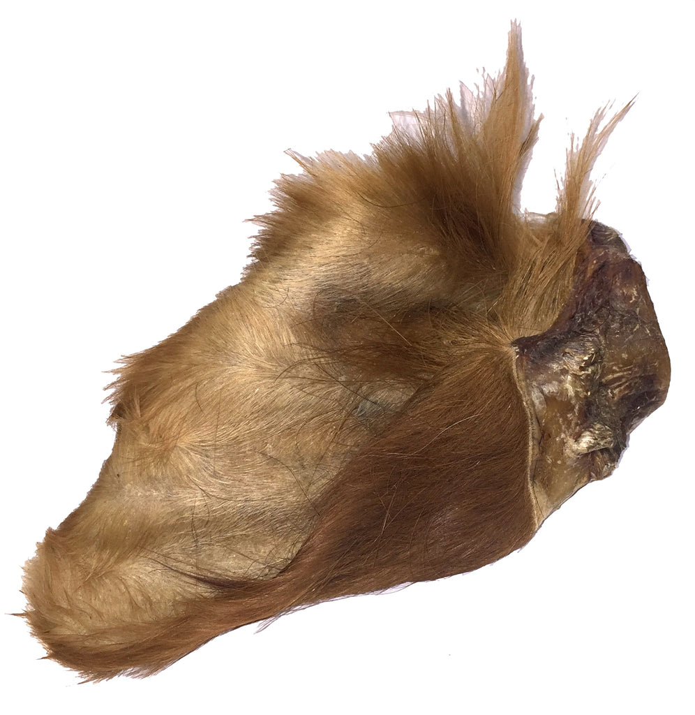 Cow Ear (Furry)
