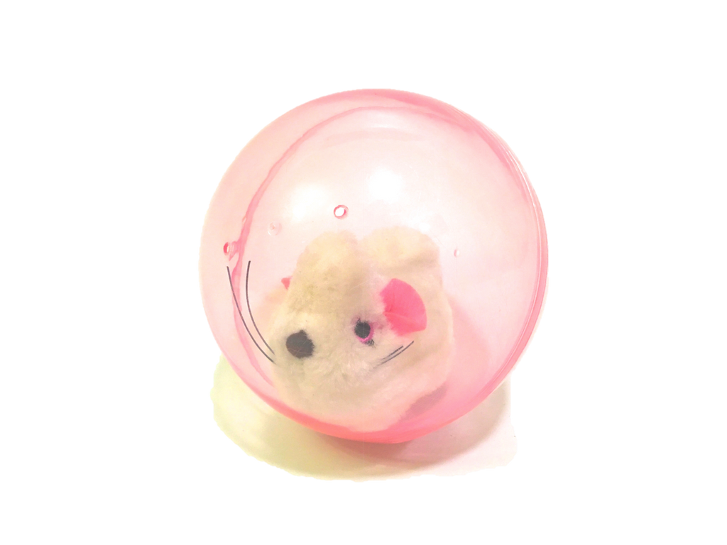 Hamster Ball - Chew Time