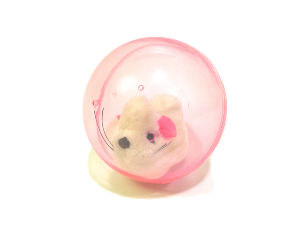 Hamster Ball - Chew Time