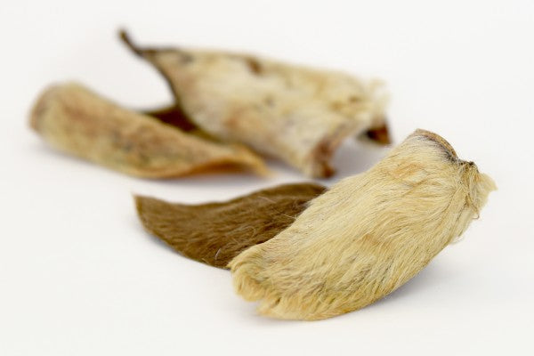 Sheep Ear (Furry)